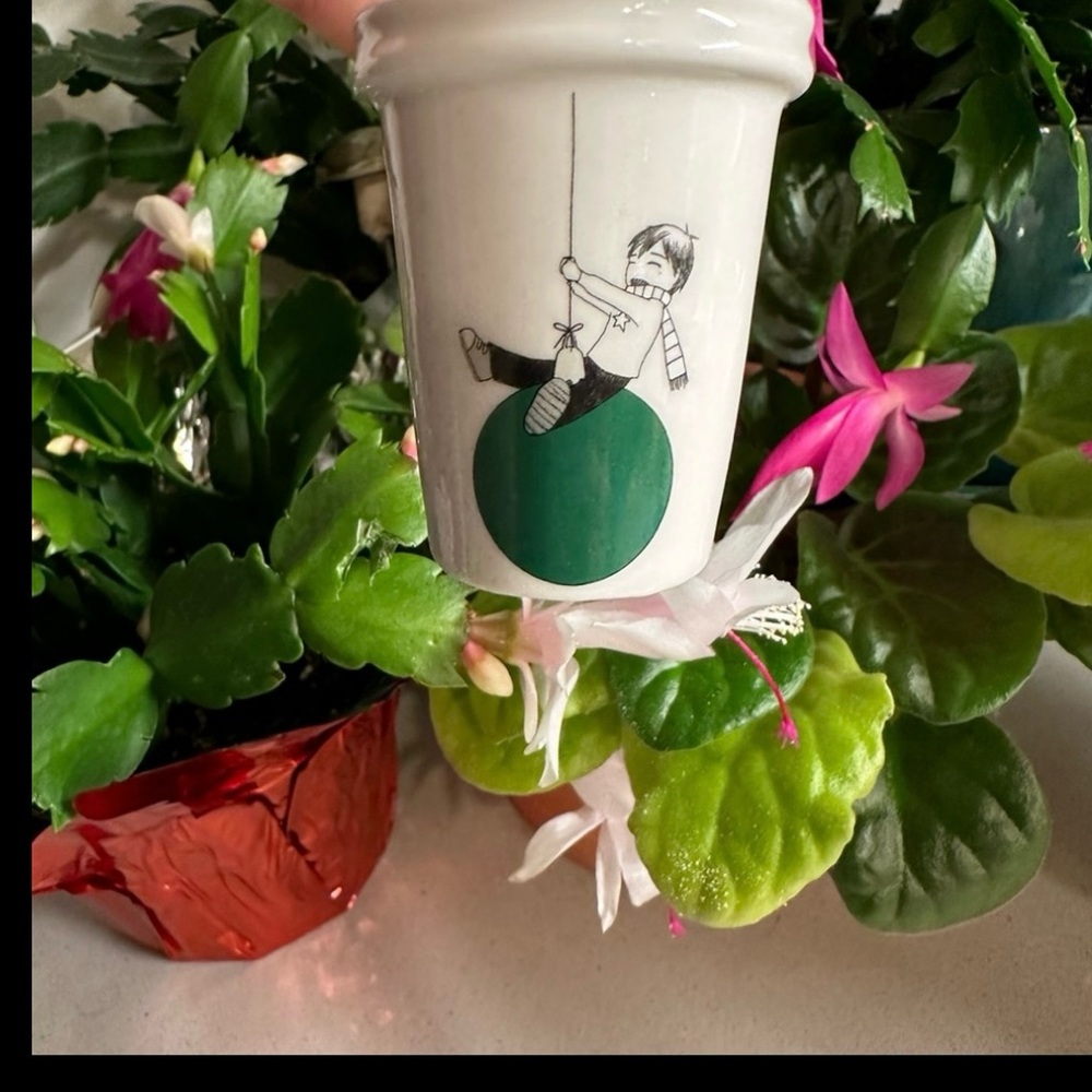 Starbucks To Go Cup Christmas Ornaments $5